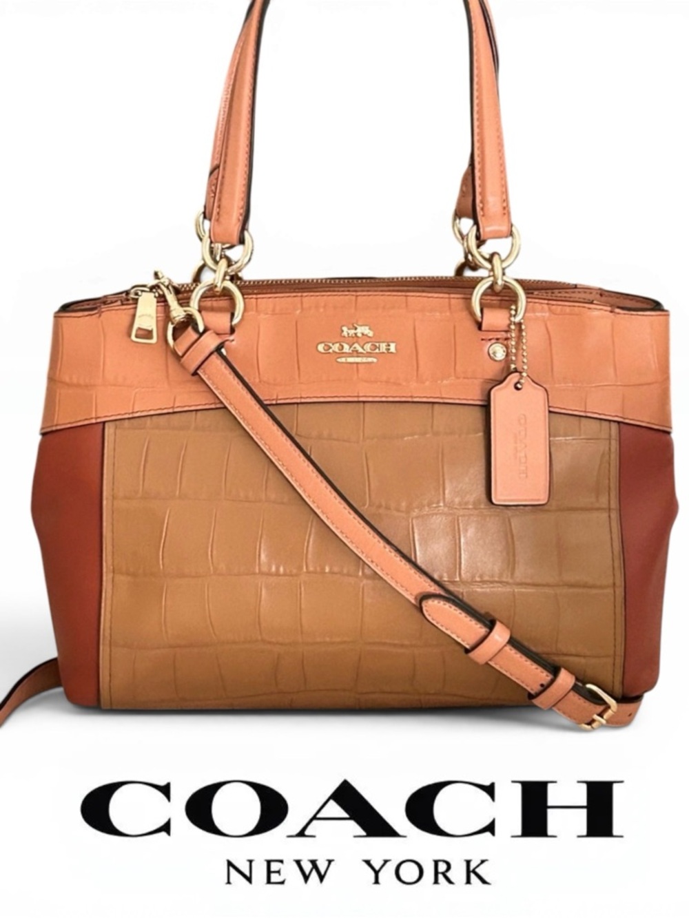 COACH Brooke Mini Croc Embossed and Smooth Leather in Colorblock Xbody/Satchel